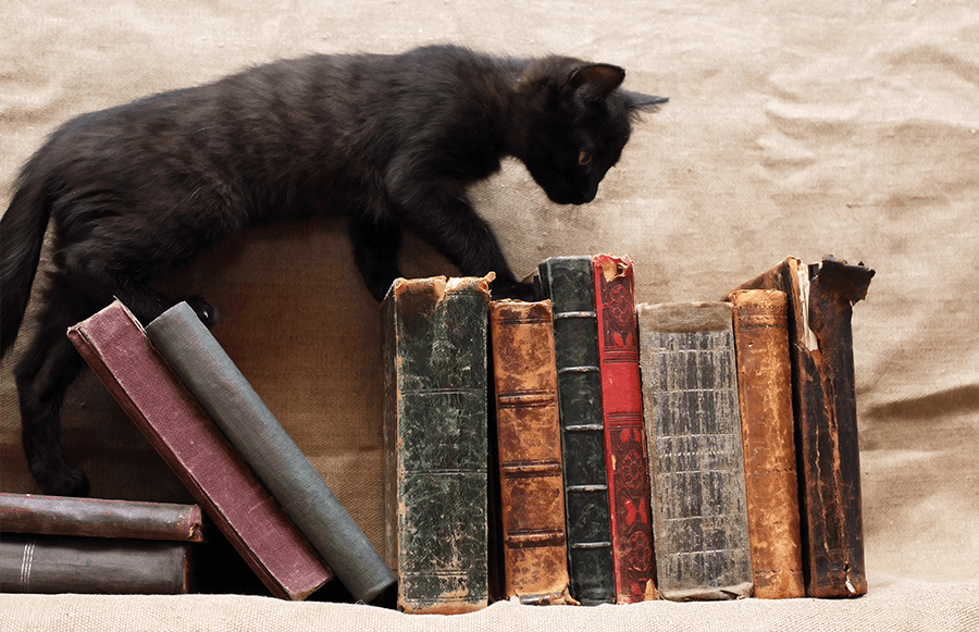 a black cat crawling over a stack of old books